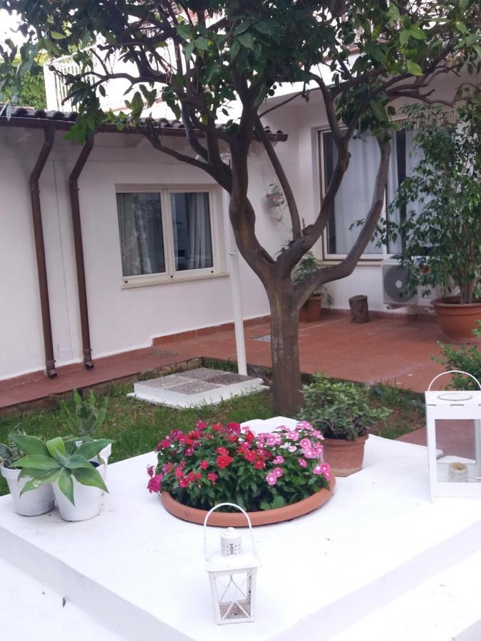 Casa Agrumeto - Locazione Turistica 몬델로 외부 사진