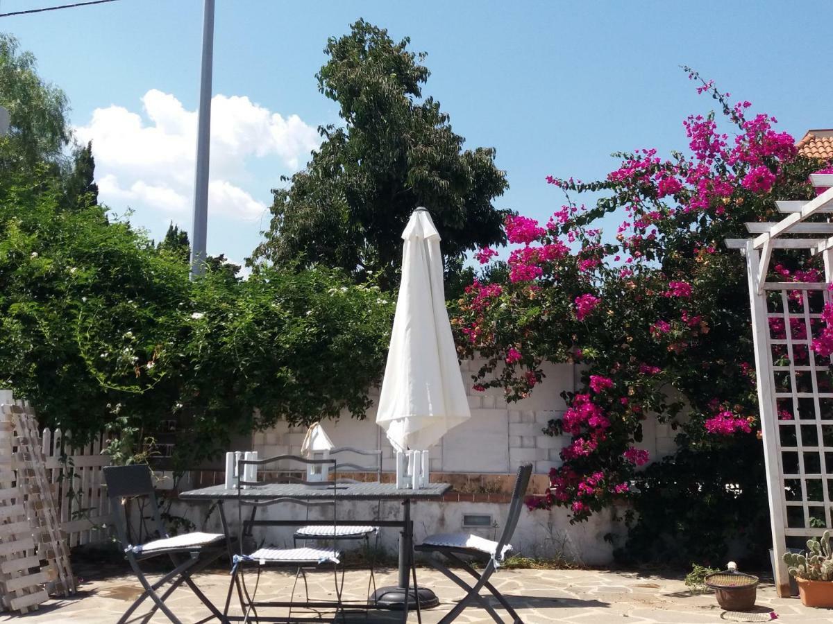 Casa Agrumeto - Locazione Turistica 몬델로 외부 사진